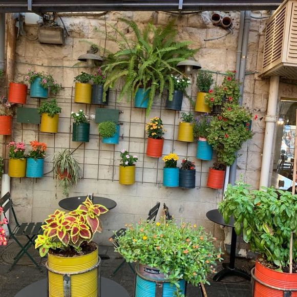 Meet your Posher, Marisa - Picture 1 of 1